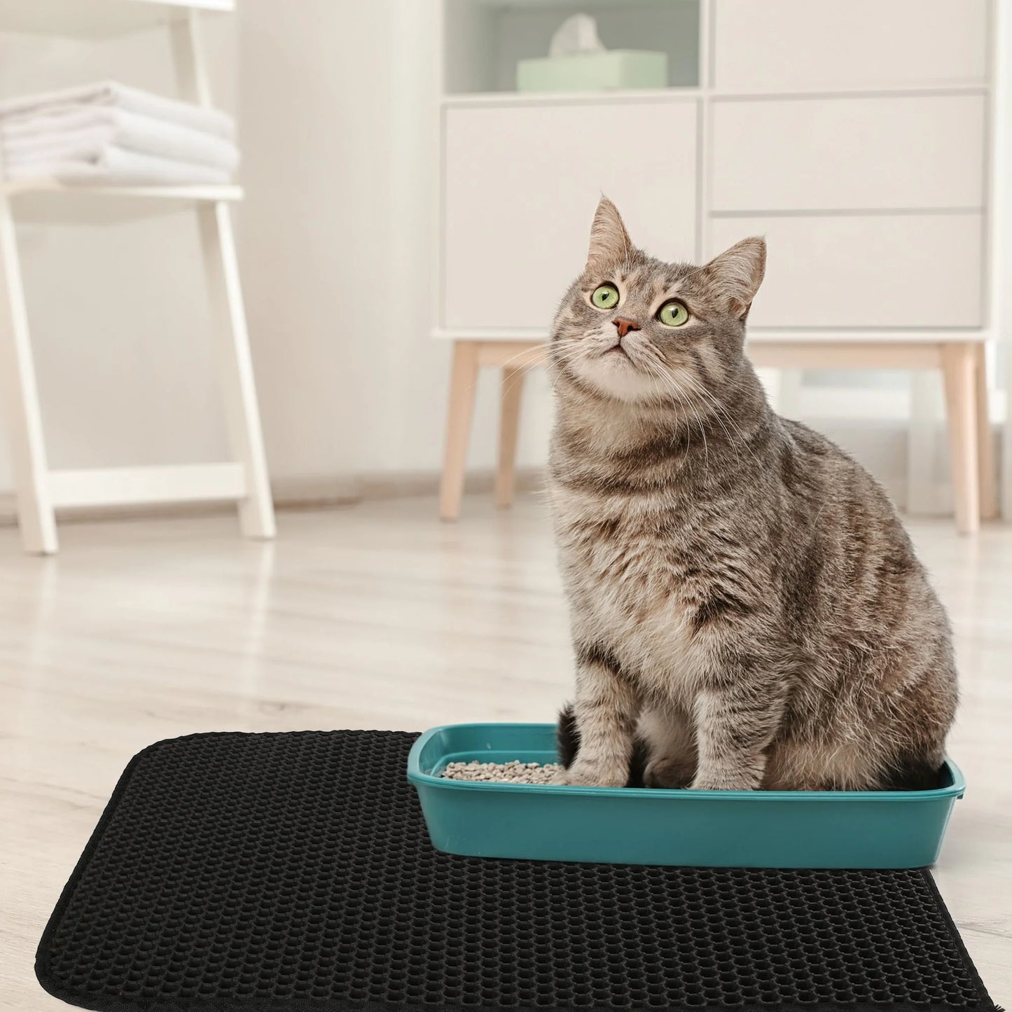 Cat Litter Mat Large, Double Layer Urine Waterproof Trapper Mat, Non-Slip,24X30 In, Black